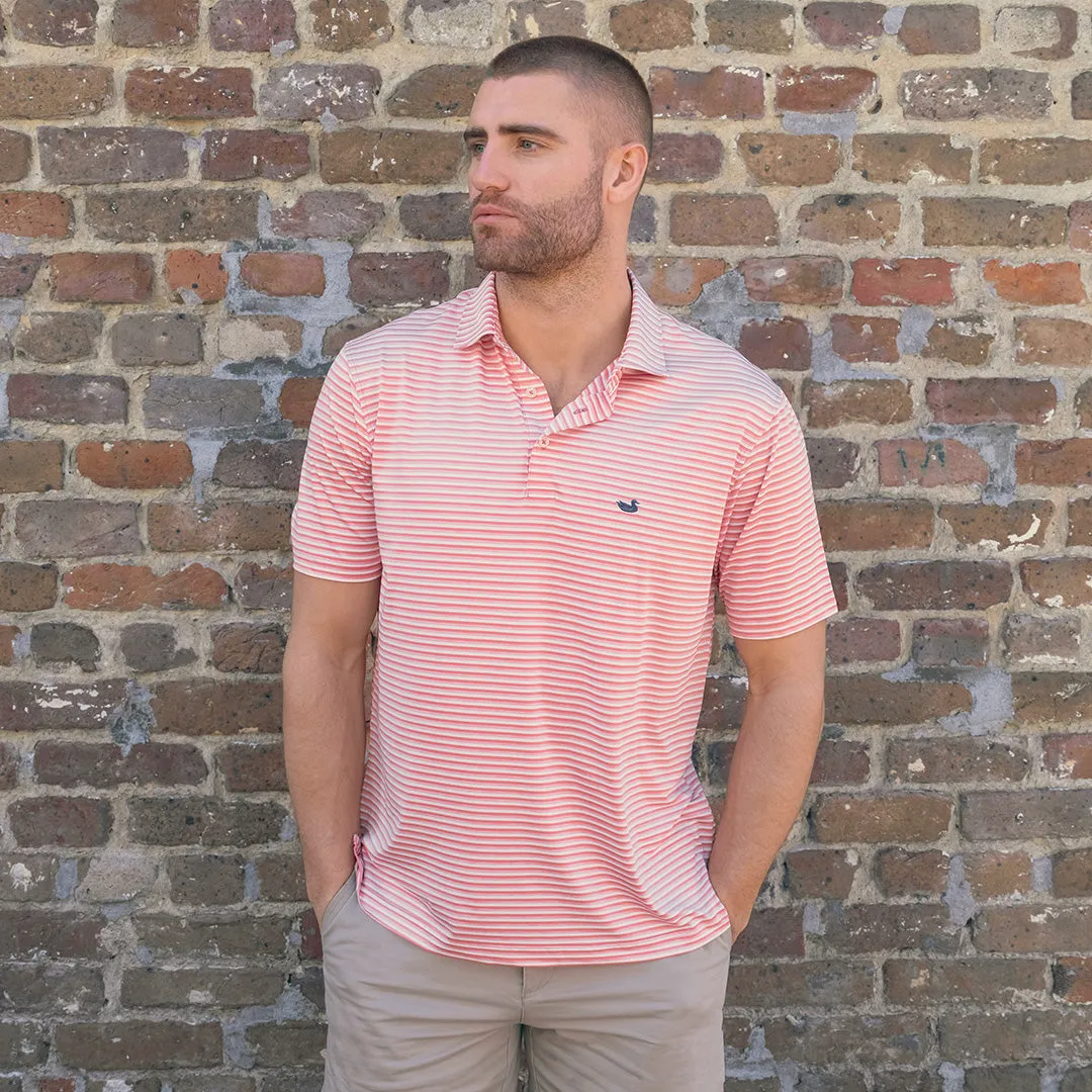 Bermuda Performance Polo - Domingo Stripe