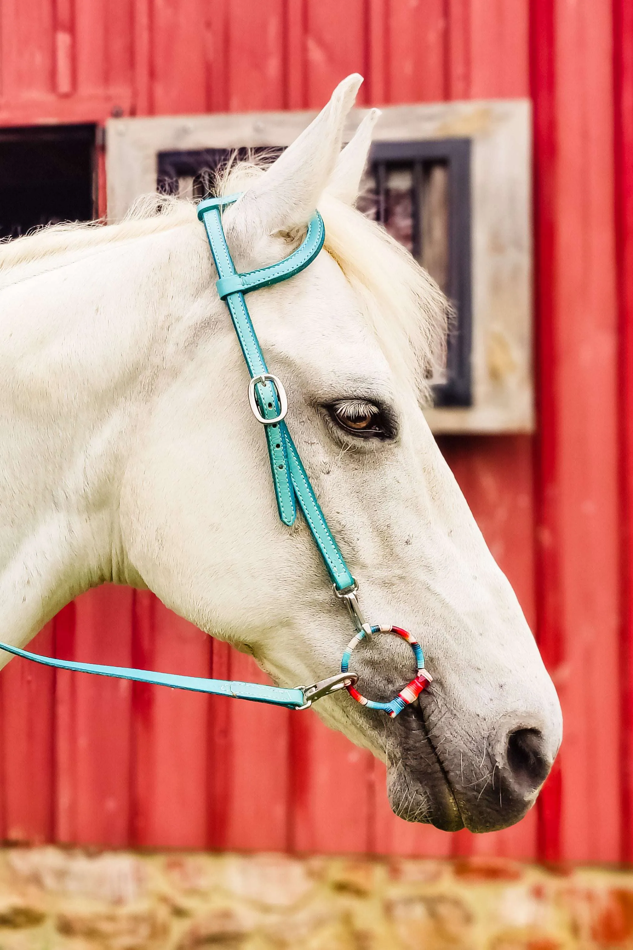 Turquoise Leather Quick Change Working Headstall