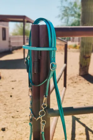 Turquoise Leather Quick Change Working Headstall